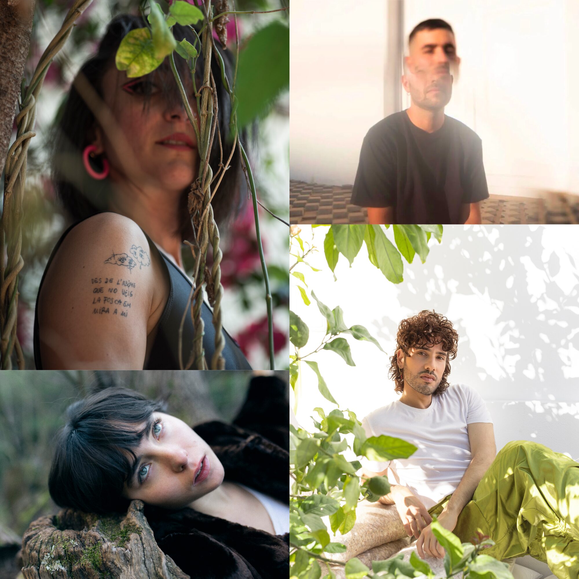 Festival Poetas